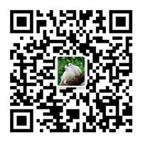 除塵設(shè)備_脫硝脫硫設(shè)備_污水處理_煙氣粉塵治理_唐山鉑銳環(huán)?？萍加邢薰?/></div>
      <!--二維碼結(jié)束-->
      <div   id=